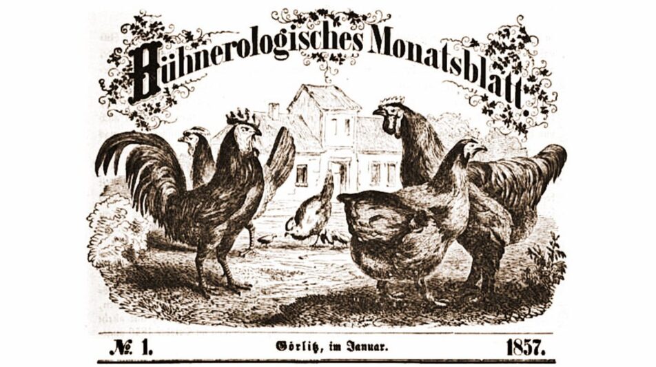 Geflügelliteratur einst und jetzt