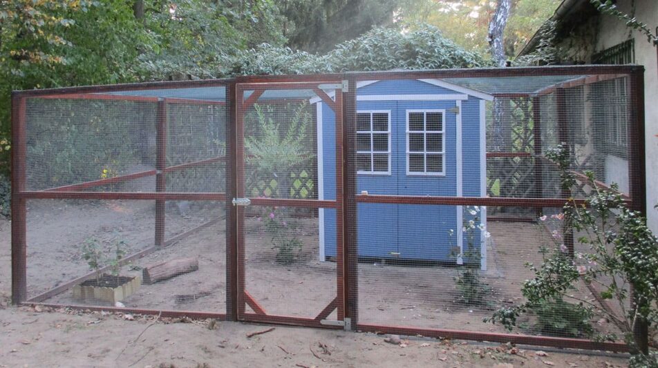 Zwerghühner sorgen für Kinderlachen