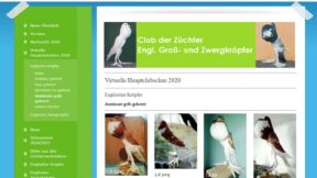 Ausstellung im Pandemie-Modus