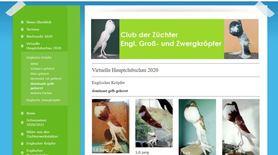 Ausstellung im Pandemie-Modus