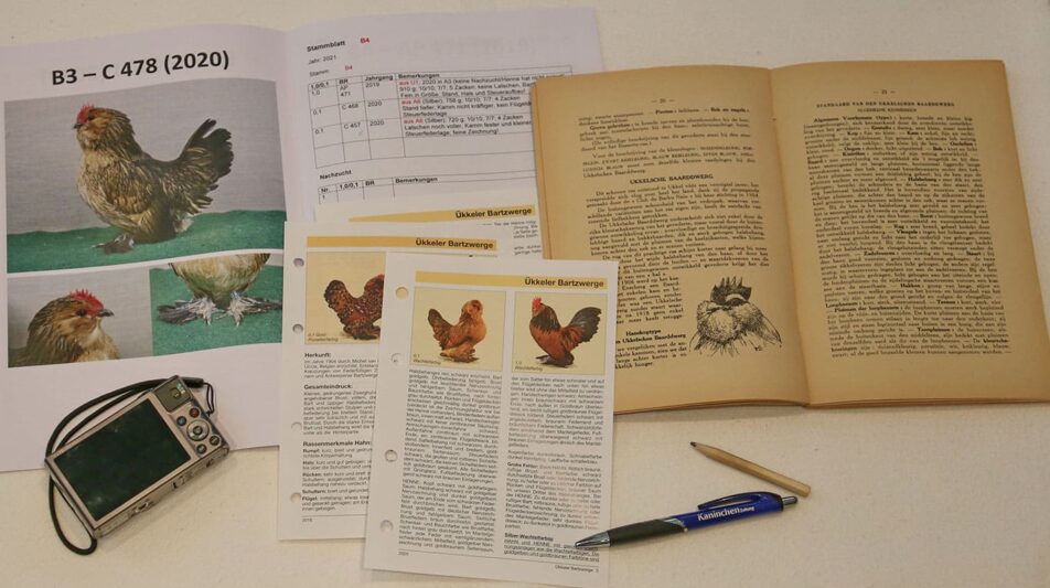 Abstammung mit System beim Geflügel