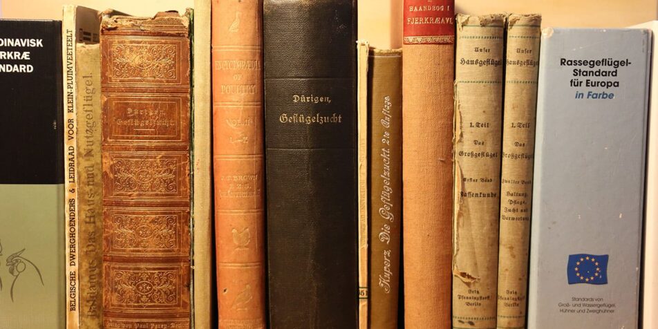 Dürigen´s Geflügeljahr – der März