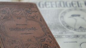 Dürigen´s Geflügeljahr – der Juni