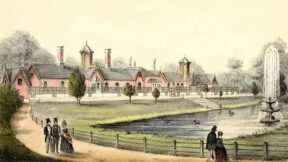 Dürigen´s Geflügeljahr – der Mai