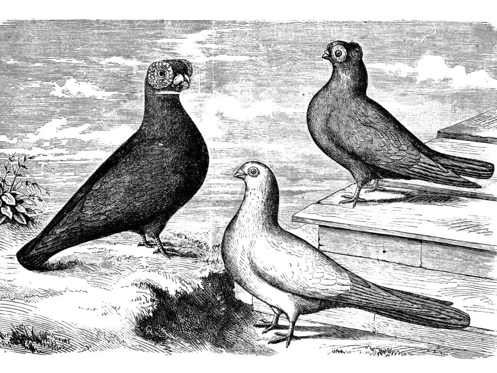 Indianer und Segler um 1920