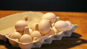 Eier konservieren – geht das, und wie?