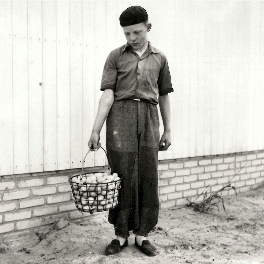 Im Frühsommer legen die Hennen am besten