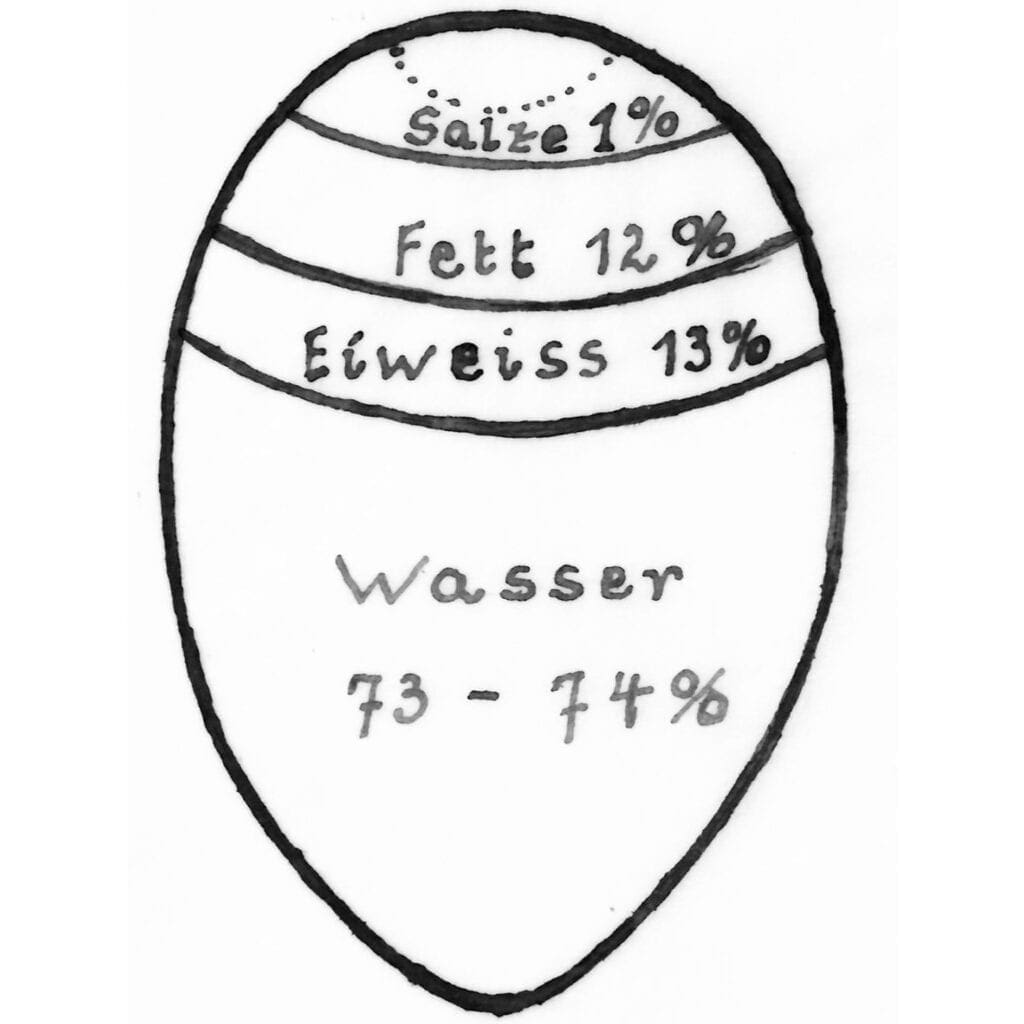 Zusammensetzung des Inhaltes der Eier