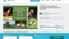 Der Hahn gehört dazu