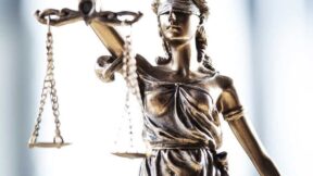 Gesetzesänderung im Baurecht mit Chancen für die Tierhaltung