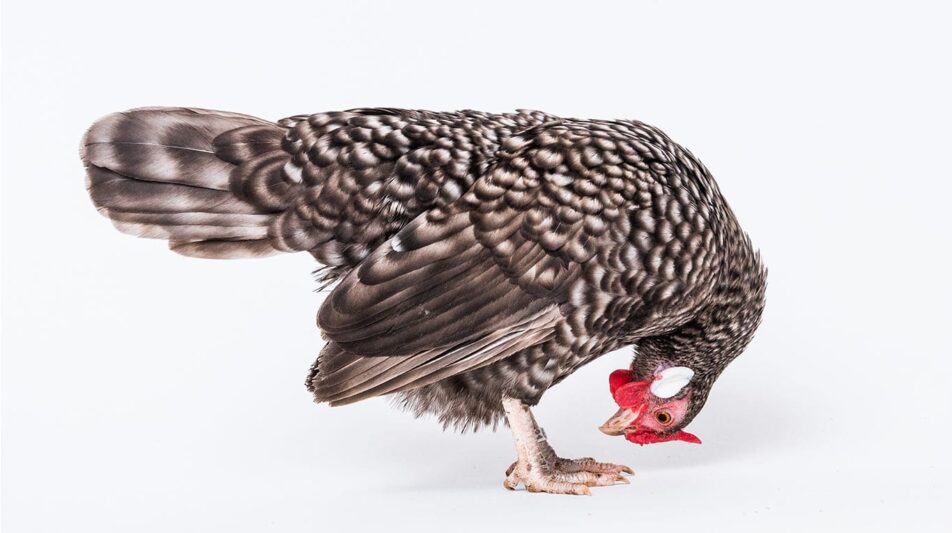 Perspektivenwechsel – Bilder mal anders