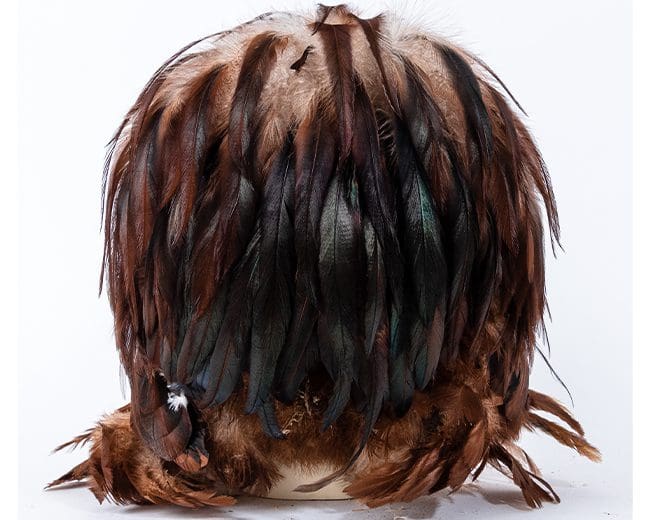 Zwerg-Cochin von hinten