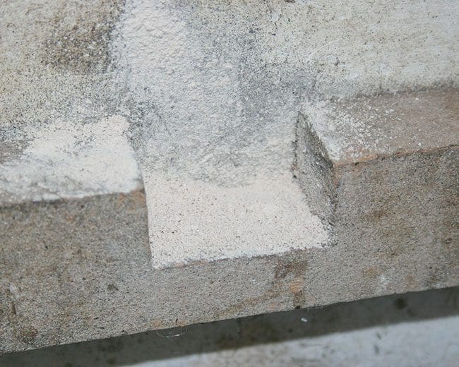 Rote-Vogelmilbe_Kieselgur