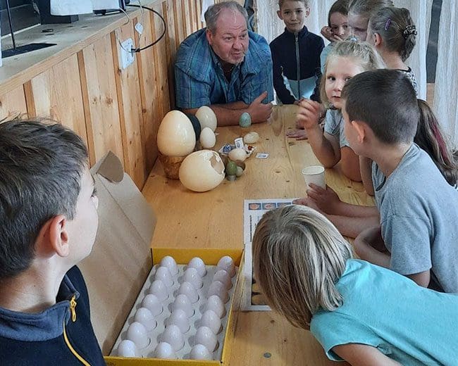 KTZV-Niederwinkling_chicken-day