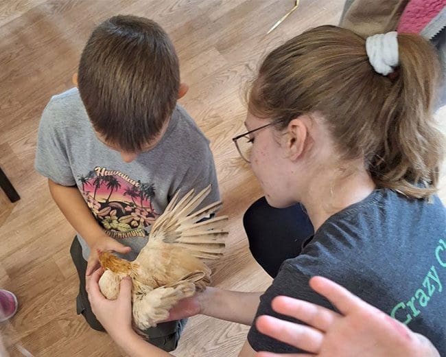 KTZV-Niederwinkling_Chicken-day_3