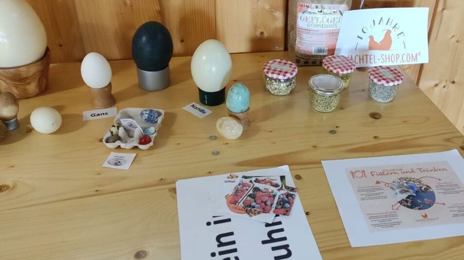 KTZV Niederwinkling – Chicken Day