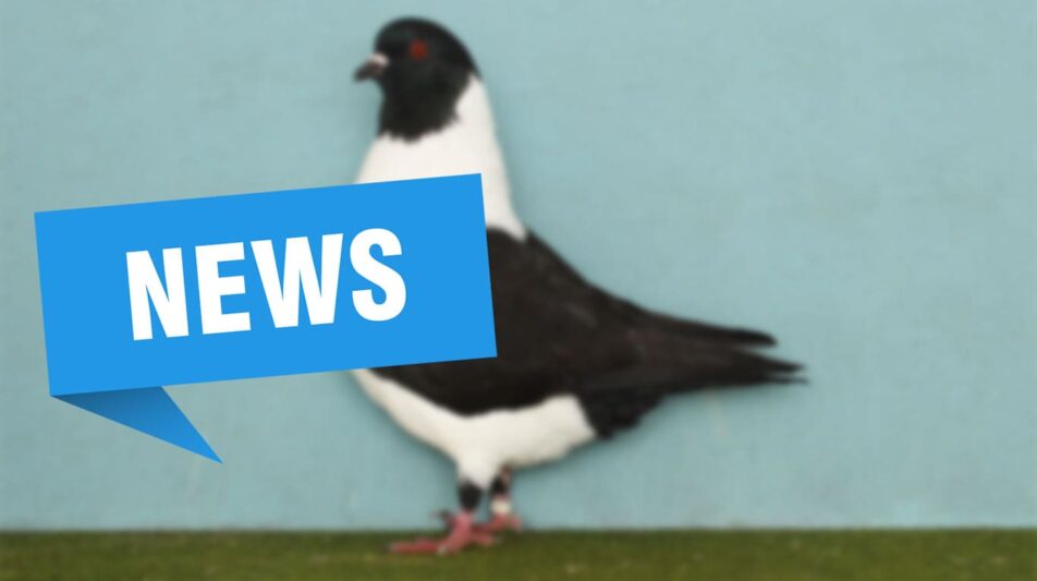 SV der Mährischen Strasser und Prachener Kanik – Guppe Süd – Jahreshauptversammlung 2024