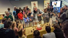 GZV Fallersleben – Kükenschlupf in der Erlebniswelt Phaeno