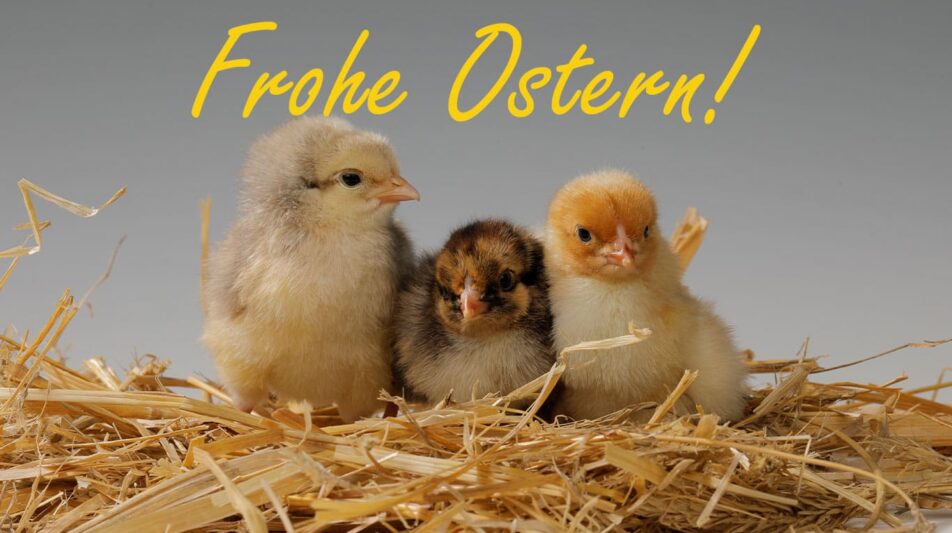 Frohe Ostern!