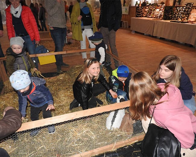 KTZV-Niederwinkling_Osterhasenmarkt-Streichelzoo