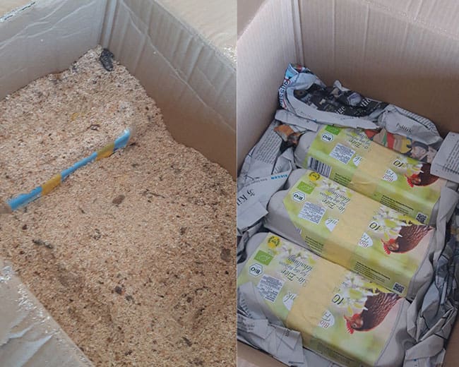 Bruteier_Verpackung_Materialien1