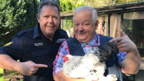 50 Hühner für Deutschland –Top, die Wette gilt!