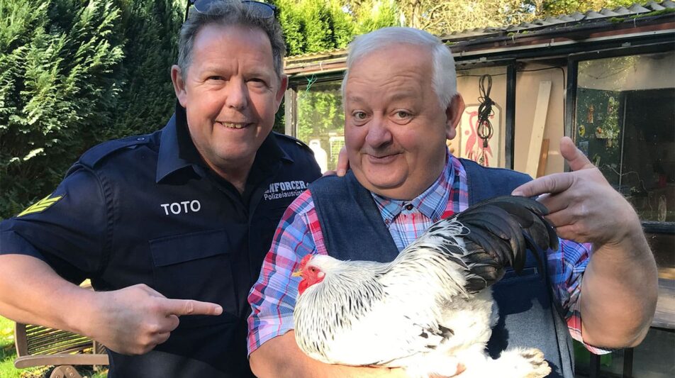 50 Hühner für Deutschland –Top, die Wette gilt!