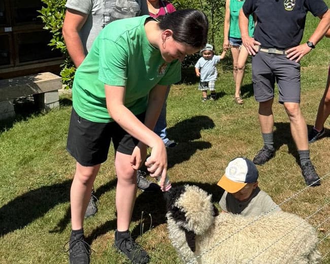 KTZV-524-Hohentengen