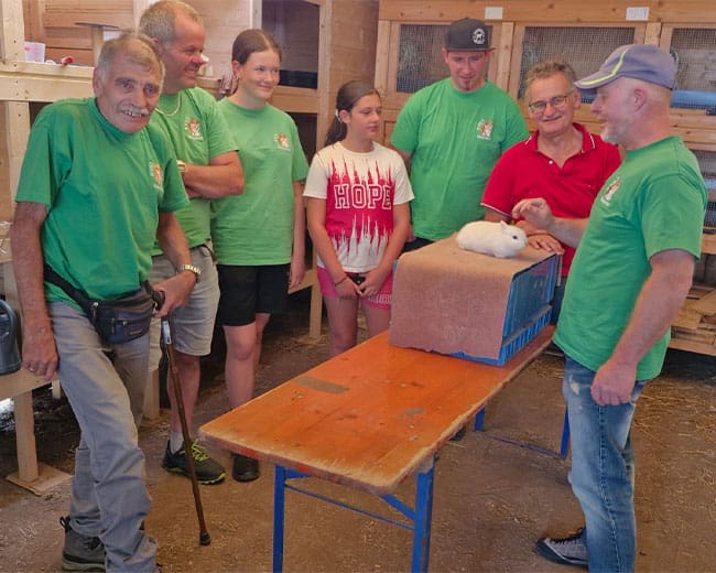 KTZV-524-Hohentengen