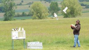 90 Jahre GZV Ibind und Umgebung
