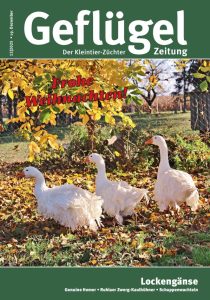 Titelbild GZ 12-2025