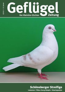 Titelbild GZ 01-2026