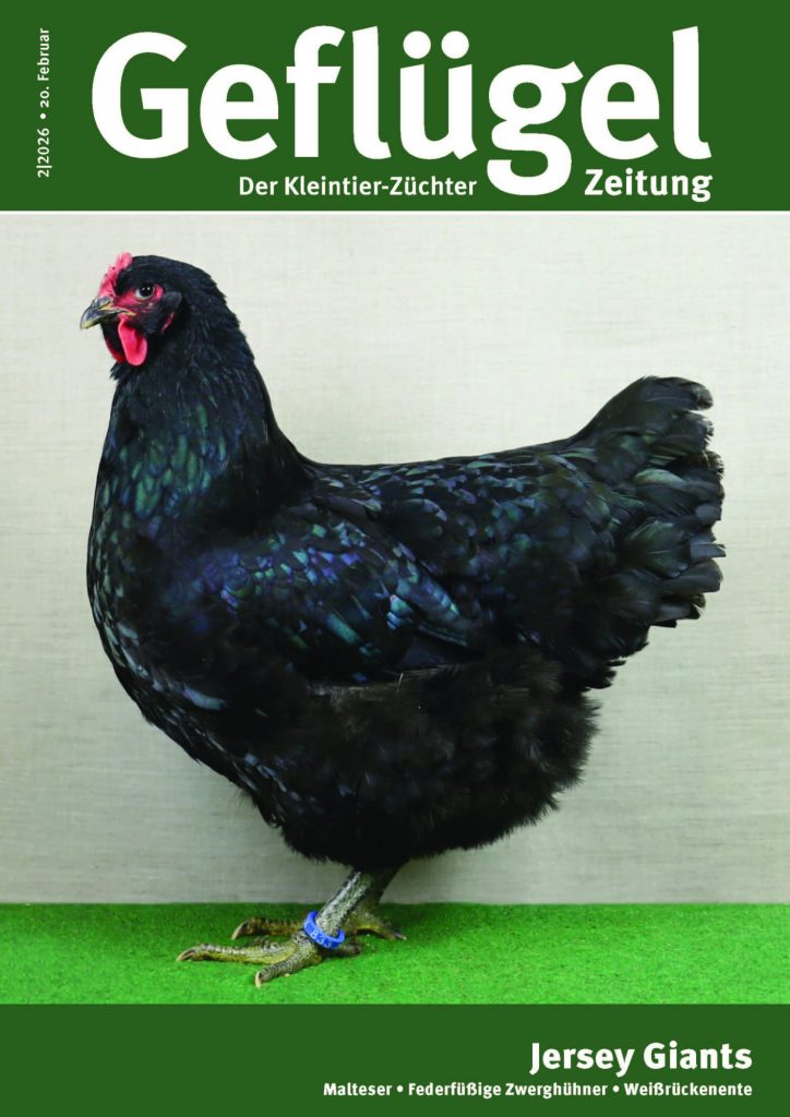 Titelbild GZ 02-2026