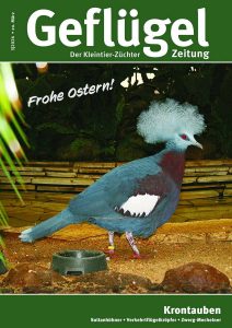 Titelbild GZ 03-2026