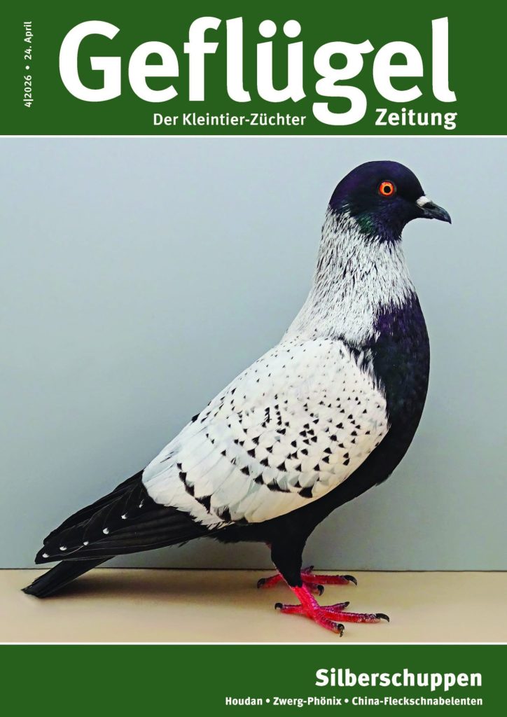 Titelbild GZ 04-2026