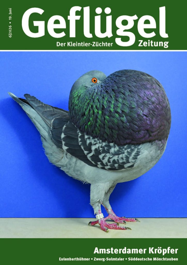 Titelbild GZ 06-2026
