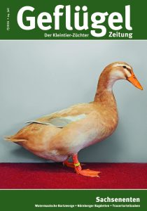 Titelbild GZ 07-2026