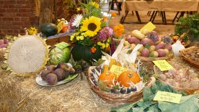 Geflügelzucht- und Gartenbauverein Ummeln – Erntedankfest