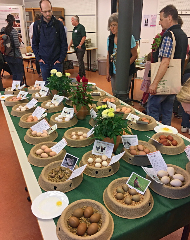 Beitrag Ausstellungsei_Eierschau 2