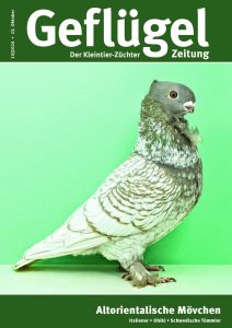 Titelbild GZ 10-2026