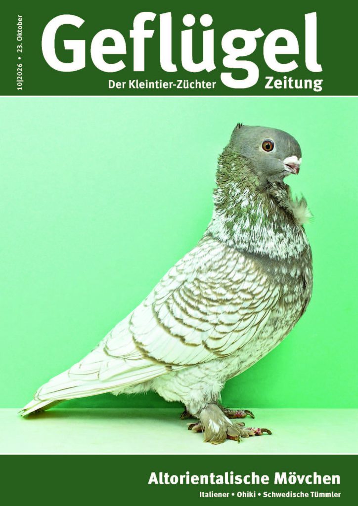 Titelbild GZ 10-2026