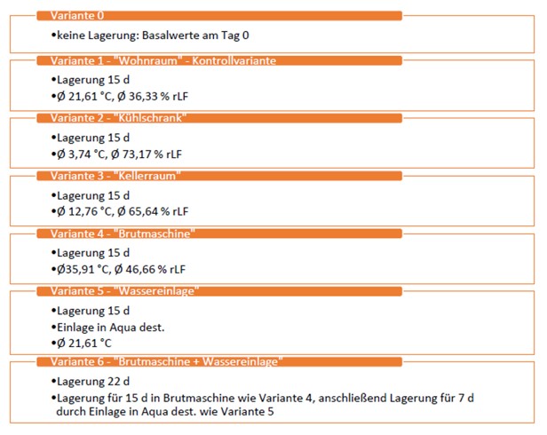 Übersicht der Lagerungsvarianten